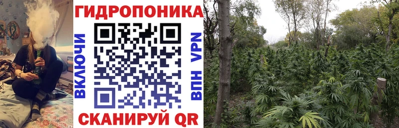 Как найти наркотики Городец Псилоцибиновые грибы Кодеин ГАШИШ Бошки Шишки Кокаин
