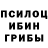Псилоцибиновые грибы GOLDEN TEACHER CyberBoy X