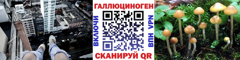 Галлюциногенные грибы ЛСД Городец
