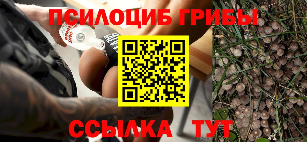 Галлюциногенные грибы GOLDEN TEACHER Городец