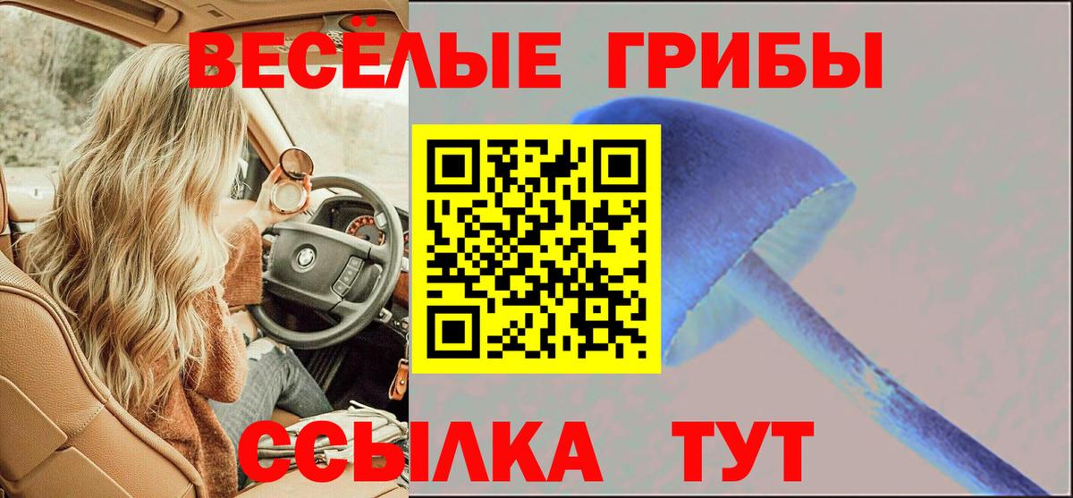 Городец  Галлюциногенные грибы мухоморы  Вход с VPN 